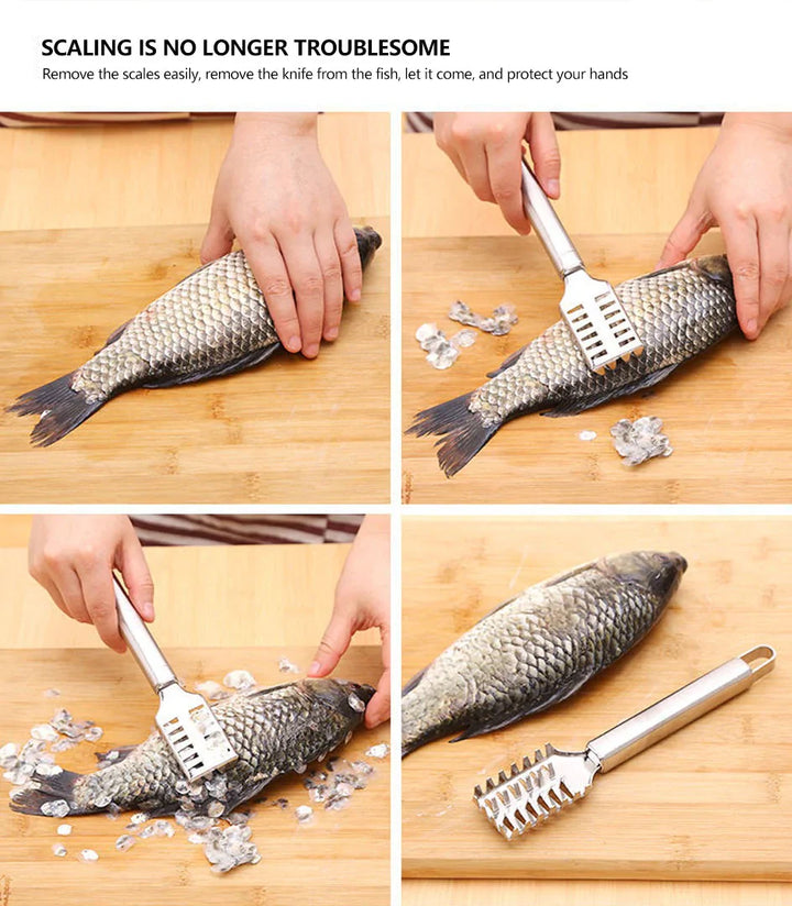 Fischschuppenentferner Edelstahl Karnz