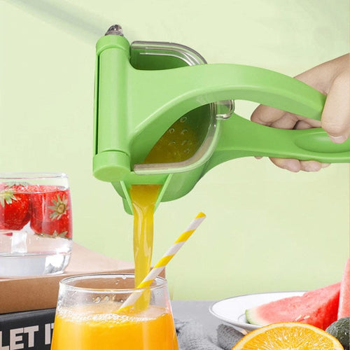Schwere manuelle Obstpresse | Karnz