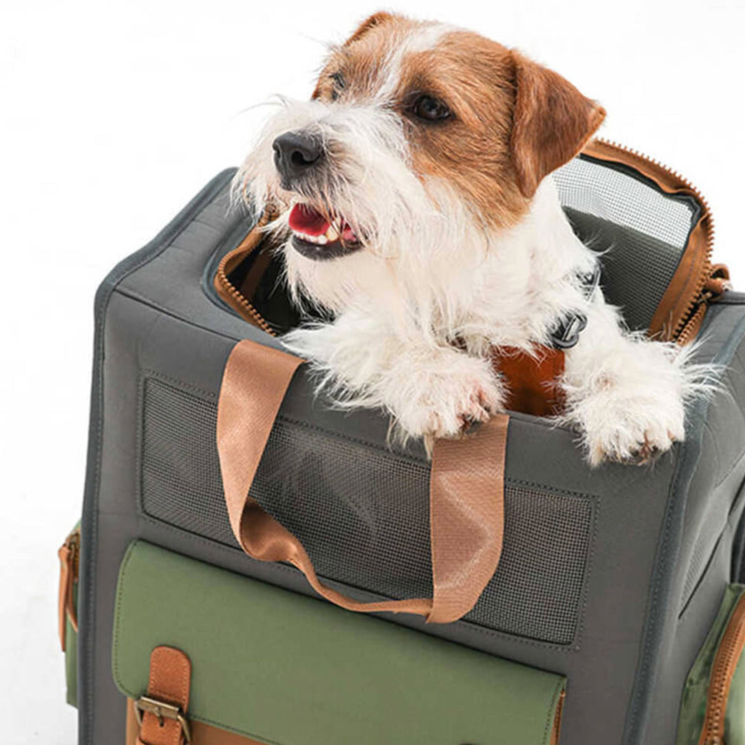 Wasserfester Reisetasche für Haustiere – Atmungsaktiv, Langlebig & Bequem | Karnz