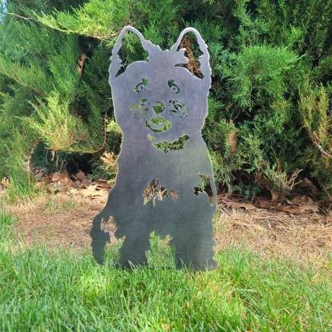 Cairn Terrier | Karnz