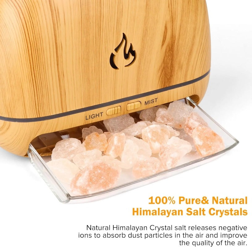 Woyuosn 3-in-1 Himalaya Salzrock Duft Diffuser Schüssel