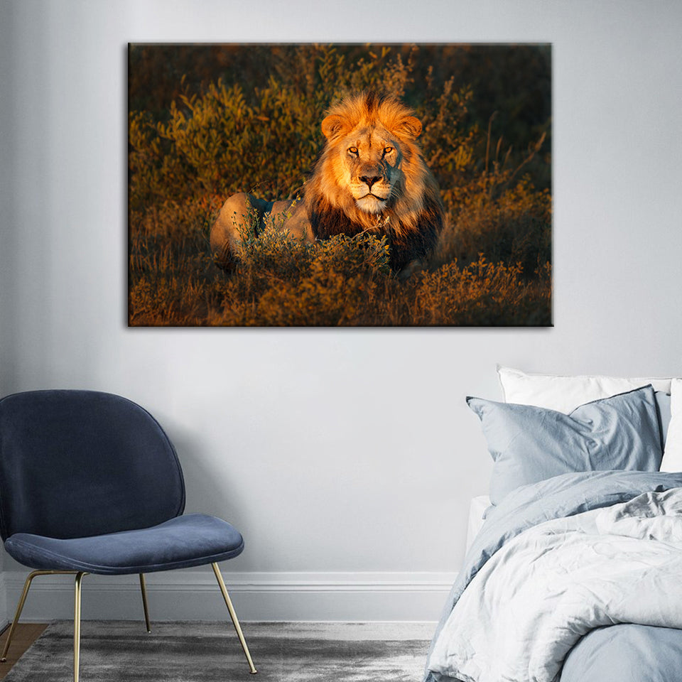 Göttlicher Sonnenuntergang Löwe - Leinwand Wandkunst Malerei