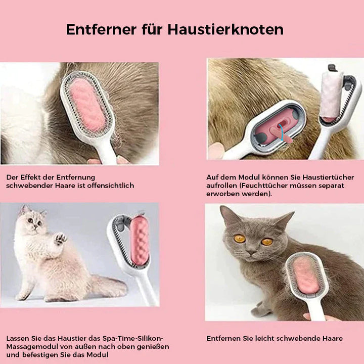Haustierkamm | Karnz