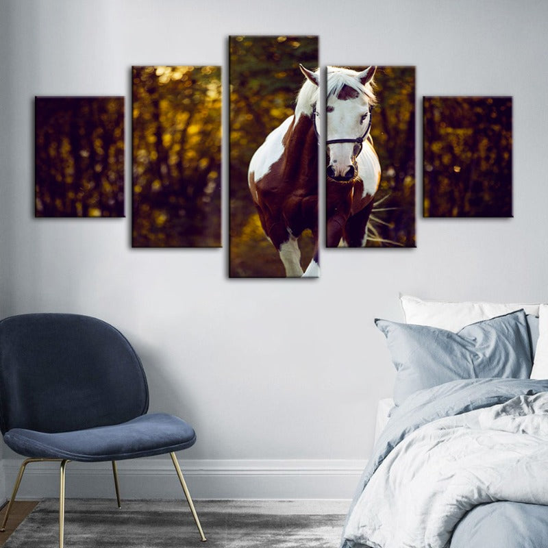 5-teilige Courtly Overo Pferd - Leinwand Wandkunst Gemälde