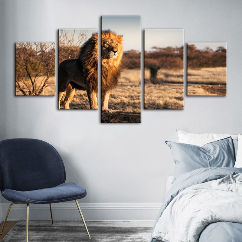 5-teilige majestätische Löwe im Sonnenlicht - Leinwand Wandkunst Gemälde