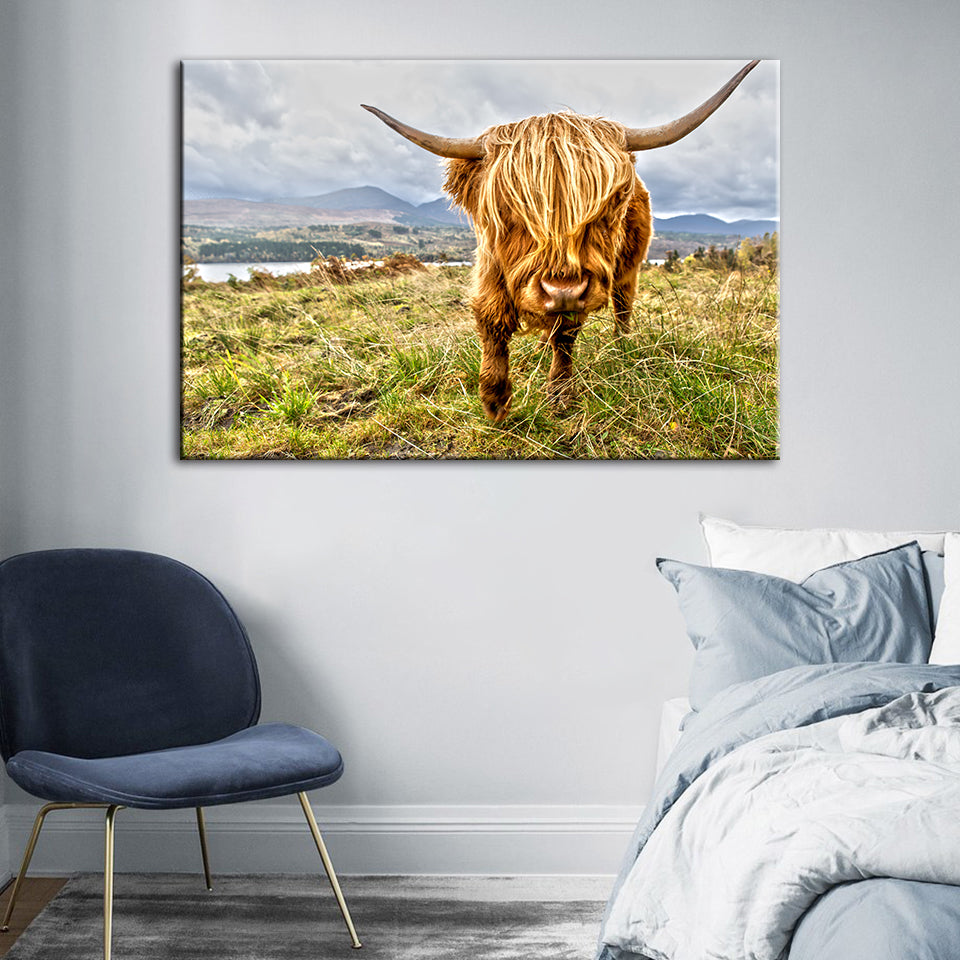 Niedliche Wildkuh – Leinwandbild