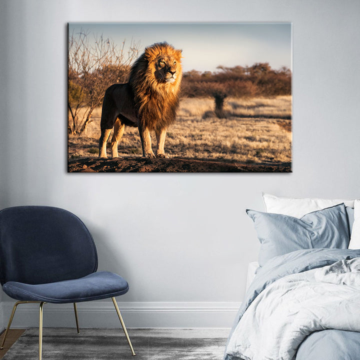 Majestischer Löwe, von Sonnenlicht durchflutet - Leinwand Wandkunst Gemälde