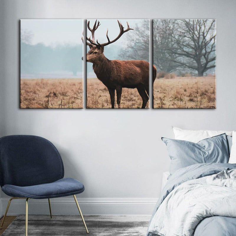 Majestätischer Hirsch in der Ebene – Leinwandbild, 3-teilig