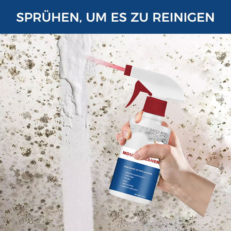Anti-Schimmel-Reinigungsschaum | Karnz