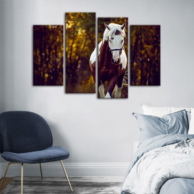 4 Stück Courtly Overo Pferd - Leinwand Wandkunst Malerei