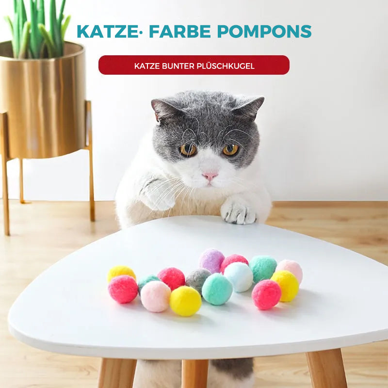 Interaktives Spielzeug für Katzen（30 Stücke） | Karnz