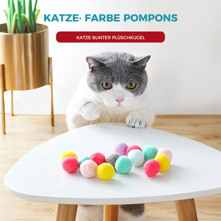 Interaktives Spielzeug für Katzen（30 Stücke） | Karnz