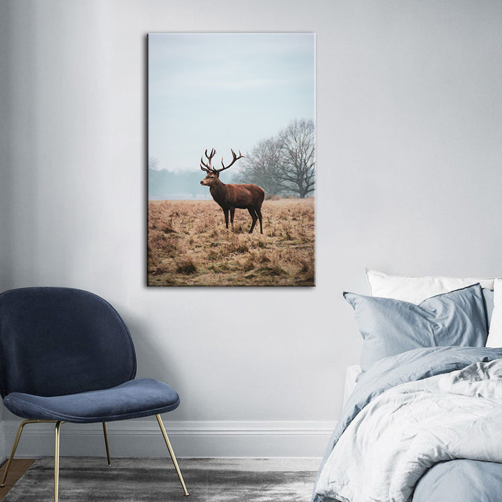 Majestätischer Hirsch in der Ebene - Leinwandbild