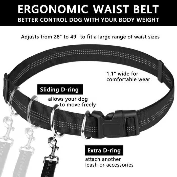 FlowLeash — Erleben Sie sanfte Kontrolle und entspannte Gassirunden ohne Rucke! | Karnz