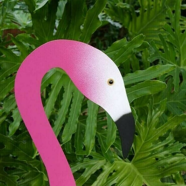 🐓Wirbelnder Flamingo im Garten💖