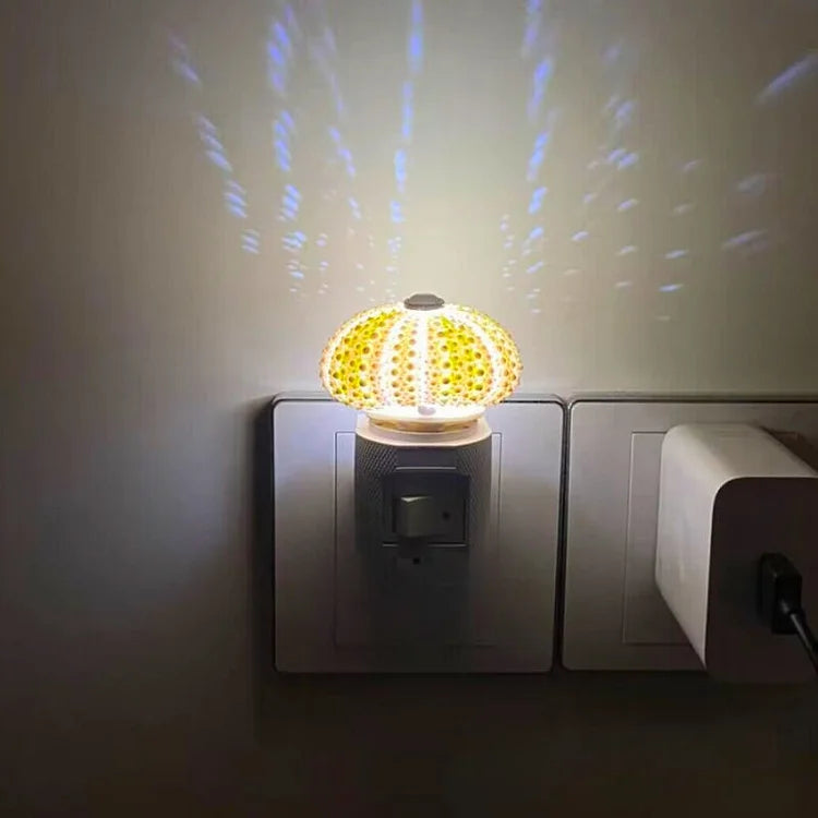 LumiCraft – Einzigartige DIY-Tischlampe mit natürlicher Muschel für ein gemütliches Ambiente