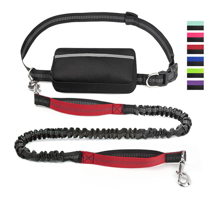 FlowLeash — Erleben Sie sanfte Kontrolle und entspannte Gassirunden ohne Rucke! | Karnz