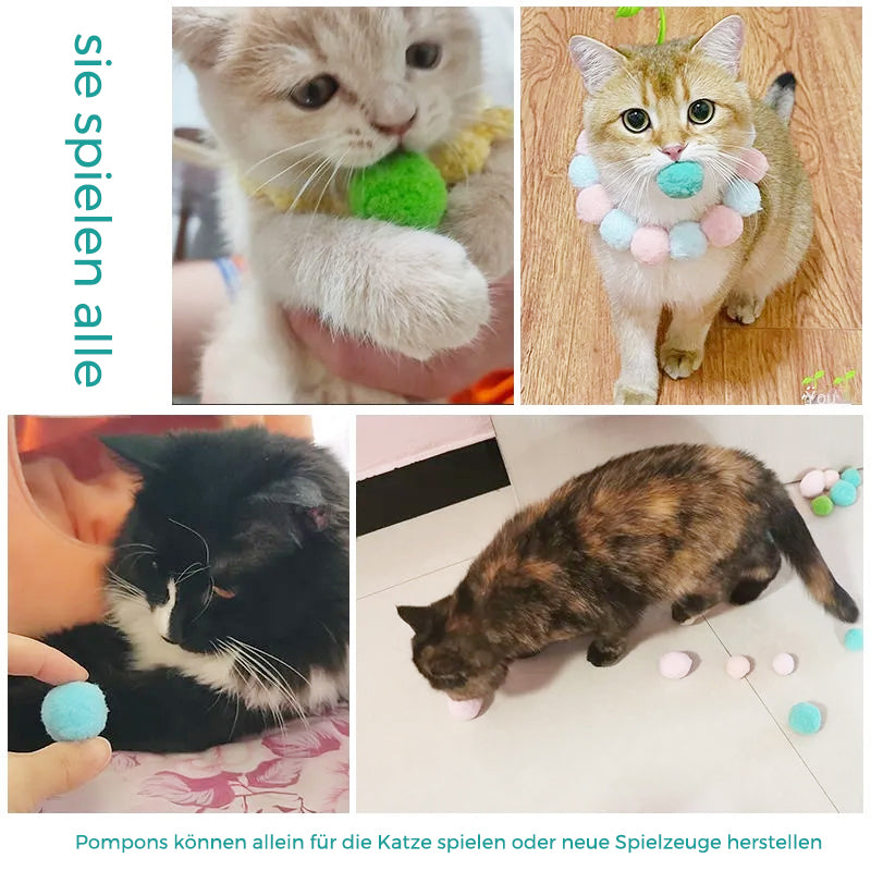Interaktives Spielzeug für Katzen（30 Stücke） | Karnz