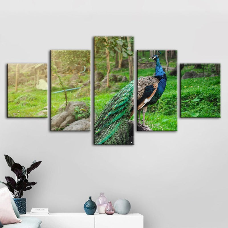 5-teiliges Würdevoller Sonnenbeschienener Pfau - Leinwand Wandkunst Gemälde