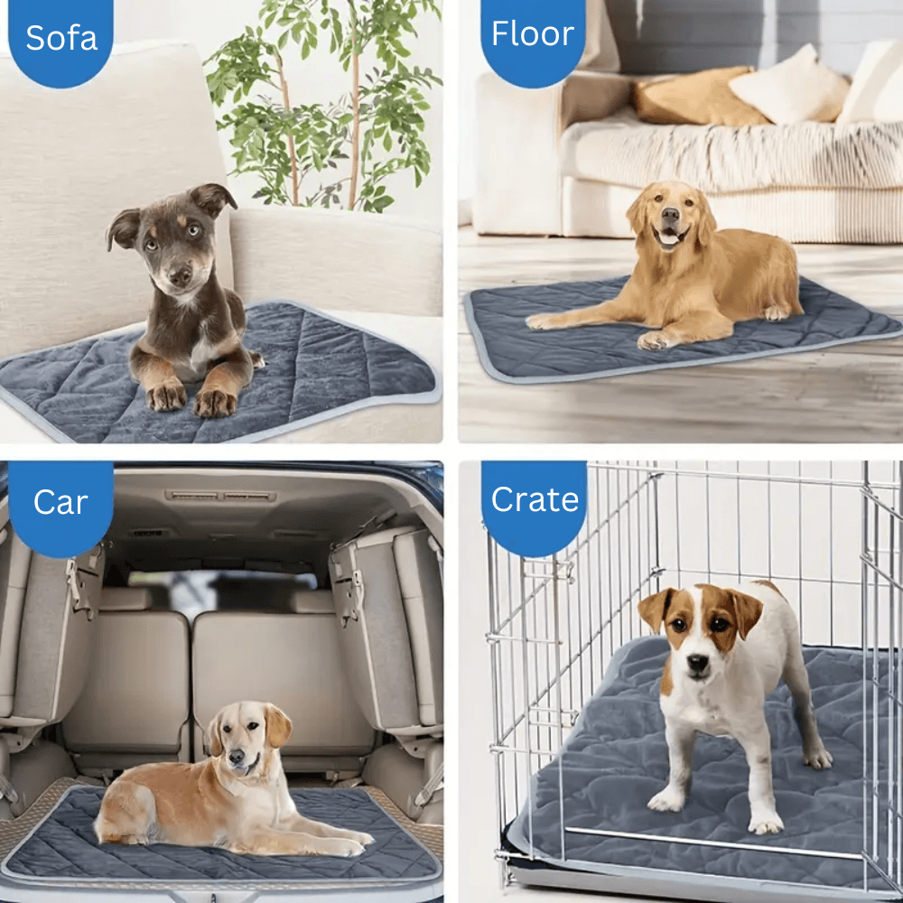 ToastyPaws Hund Selbstheizendes Kissen