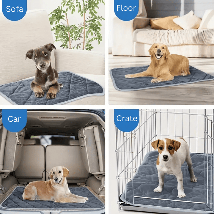 ToastyPaws Hund Selbstheizendes Kissen