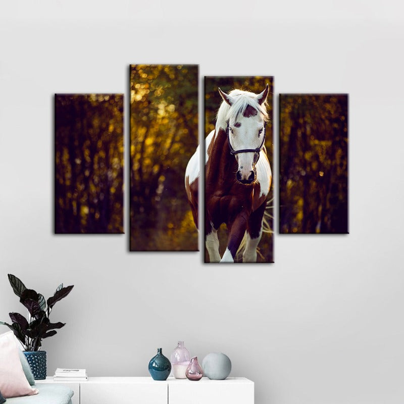 4 Stück Courtly Overo Pferd - Leinwand Wandkunst Malerei