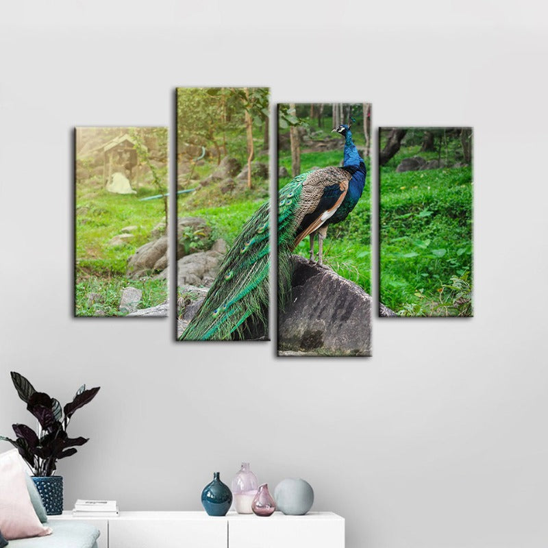 4 Stück Würdevoller Sonnenlicht-Pfau - Leinwand Wandkunst Gemälde