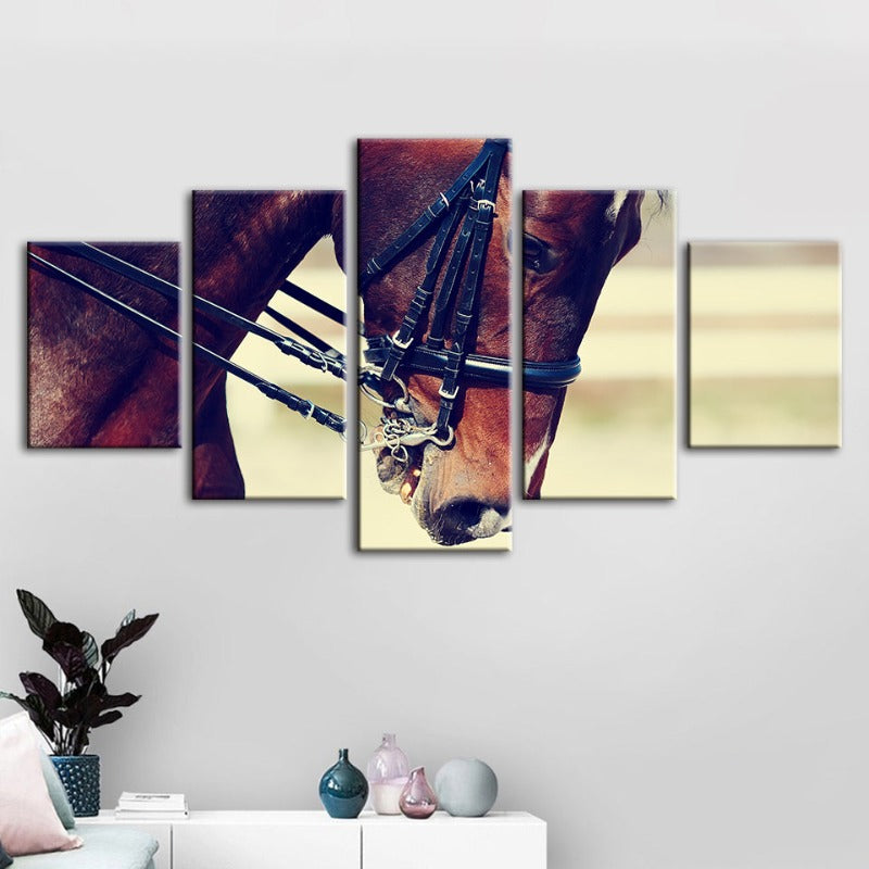5 Stück Anmutige Halfterpferd - Leinwand Wandkunst Gemälde