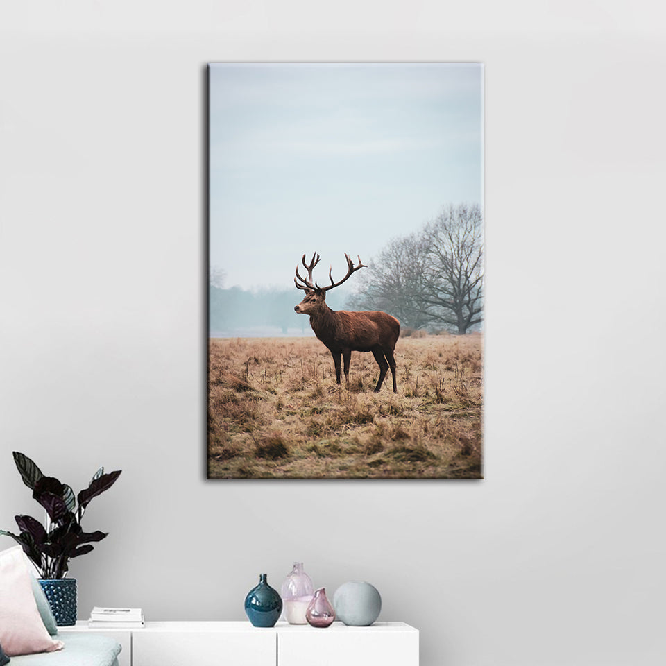 Majestätischer Hirsch in der Ebene - Leinwandbild