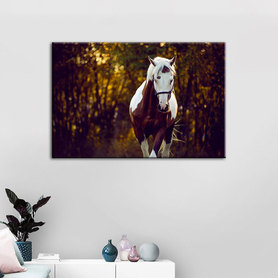 Höfisches Overo Pferd - Leinwandbild