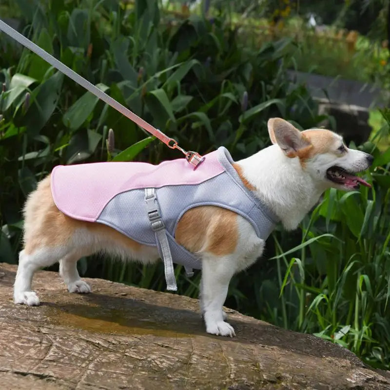 Hundekühlweste für Outdoor-Aktivitäten | Karnz