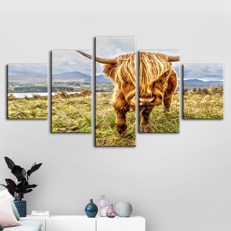 5 Stück Wild Cow - Leinwand Wandkunst Gemälde