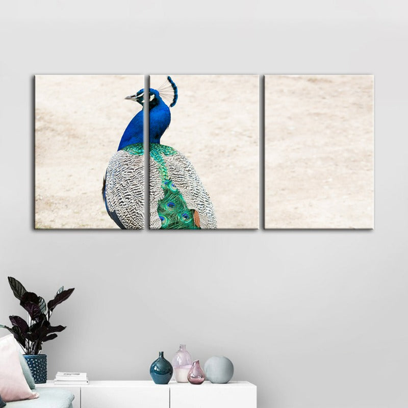 Elegantes Pfauenmotiv mit Rock – 3-teiliges Leinwandbild