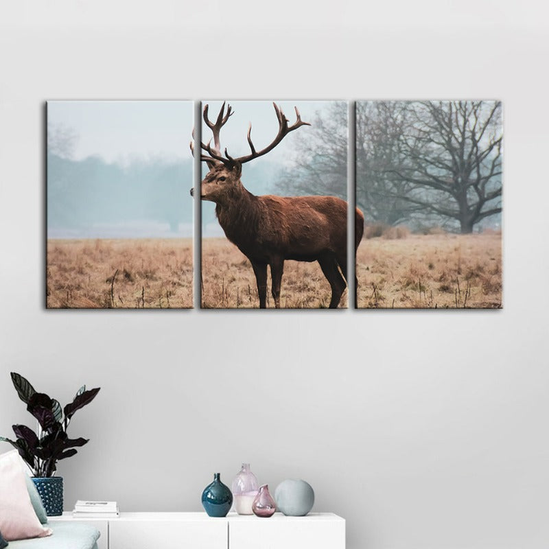 Majestätischer Hirsch in der Ebene – Leinwandbild, 3-teilig