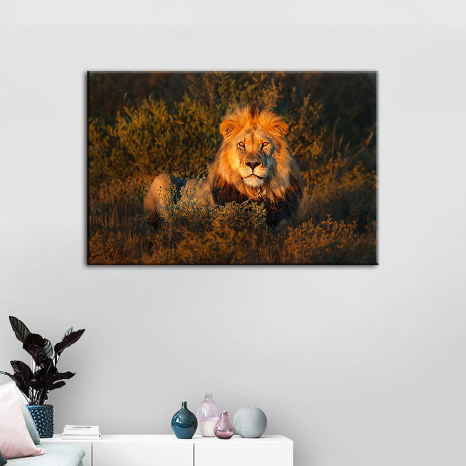 Göttlicher Sonnenuntergang Löwe - Leinwand Wandkunst Malerei