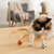 FetherSprint — Entfessle den wilden Jäger in deiner Katze mit lautlosem Spielspaß! | Karnz