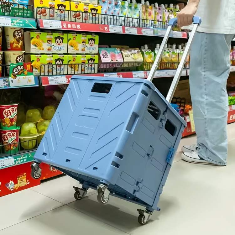 RamoraLift — Mühelos jede Stufe meistern und Rückenfreiheit genießen | Karnz