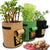GrowMaster Pro — Mehr Power für deine Pflanzen, damit deine Ernte alle staunen lässt! | Karnz