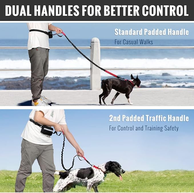 FlowLeash — Erleben Sie sanfte Kontrolle und entspannte Gassirunden ohne Rucke! | Karnz