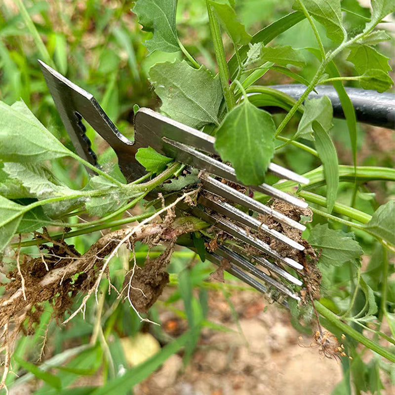 TerraClear — Befreit Ihren Garten mühelos von Unkraut und schenkt Ihnen grenzenlose Pflanzfreiheit | Karnz