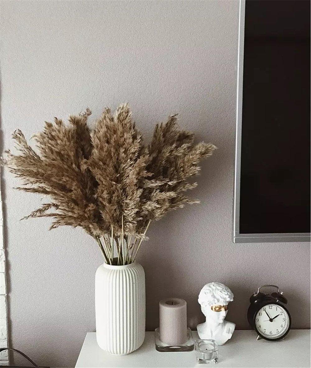60 cm natürlich, echt, braun-beige getrockneter Pampasgrasstrauß │ flauschige Feder für moderne Boho-Haushaltsdekoration