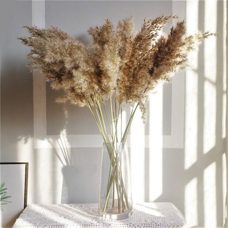 60 cm natürlich, echt, braun-beige getrockneter Pampasgrasstrauß │ flauschige Feder für moderne Boho-Haushaltsdekoration