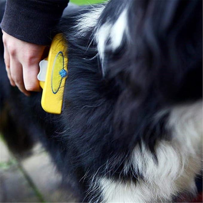 Professionelle Haarentfernung Bürste für Hunde & Katzen Karnz