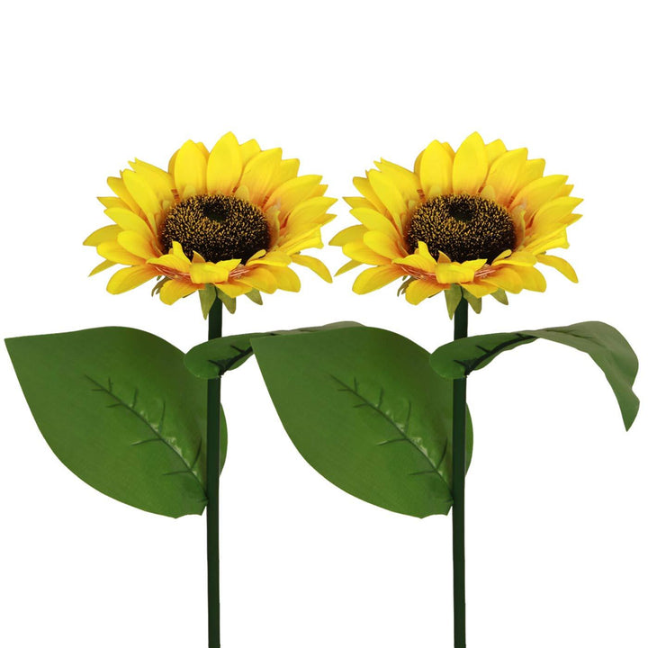 Sonnenblume Licht, 2-teilig | Karnz