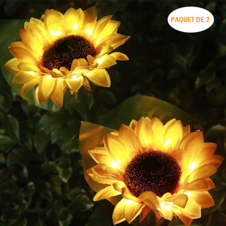 Sonnenblume Licht, 2-teilig | Karnz