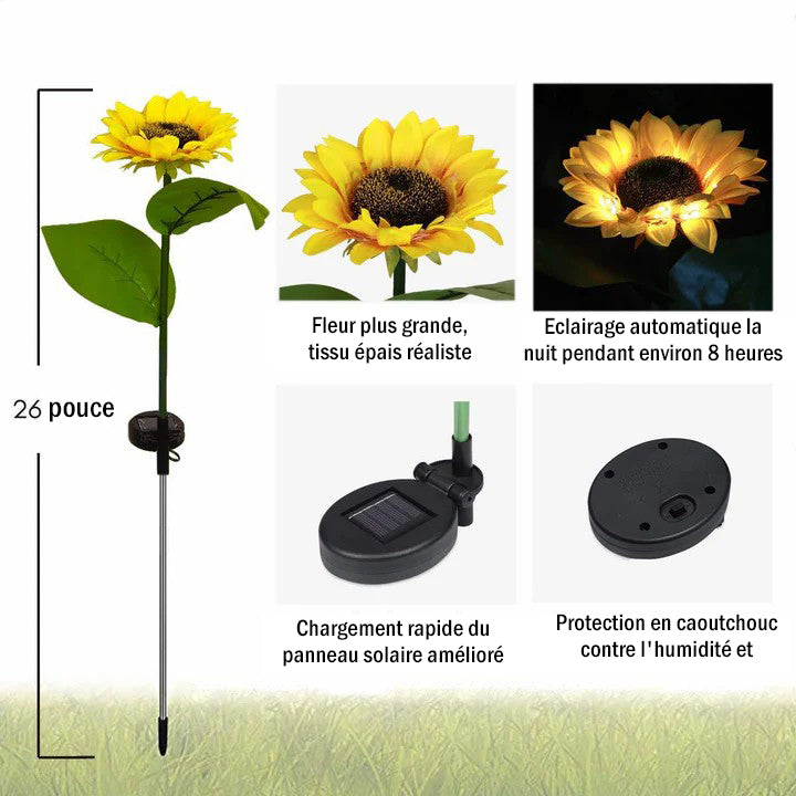 Sonnenblume Licht, 2-teilig | Karnz