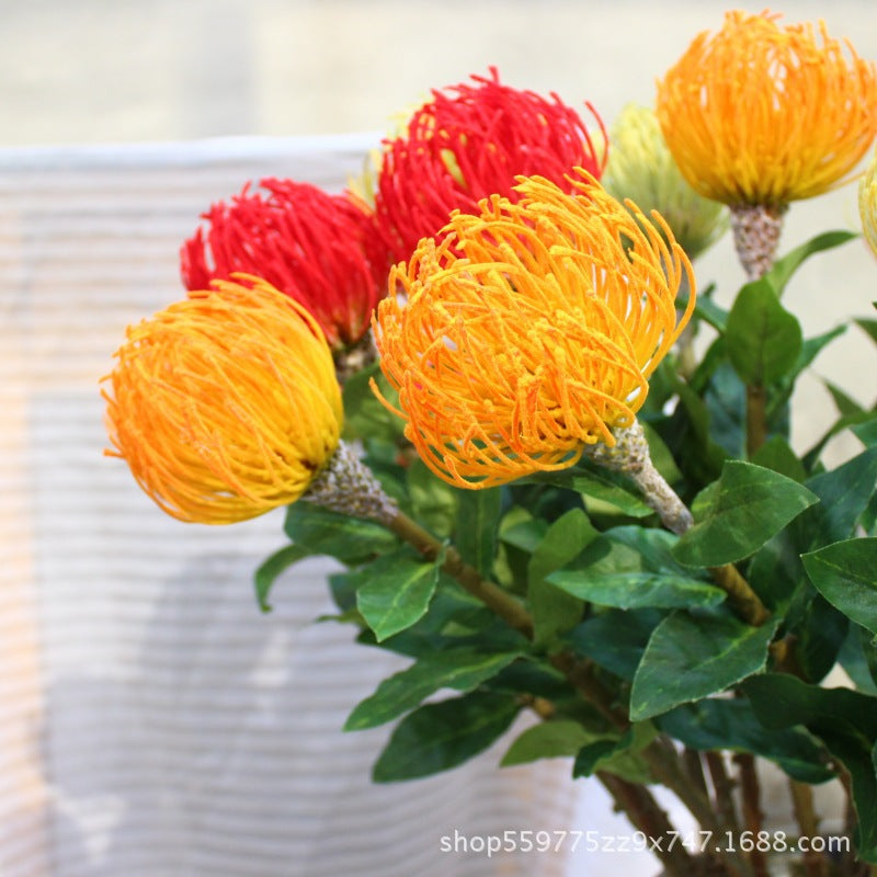 Realistische Protea-Blumenstiel