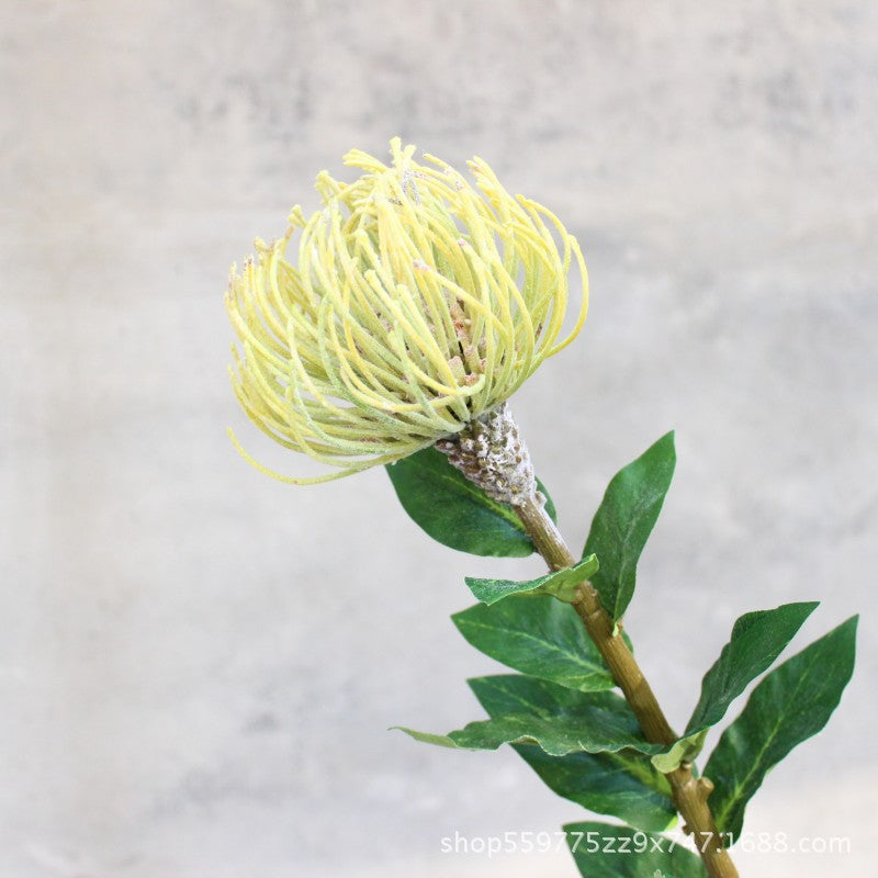 Realistische Protea-Blumenstiel