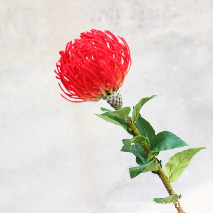 Realistische Protea-Blumenstiel