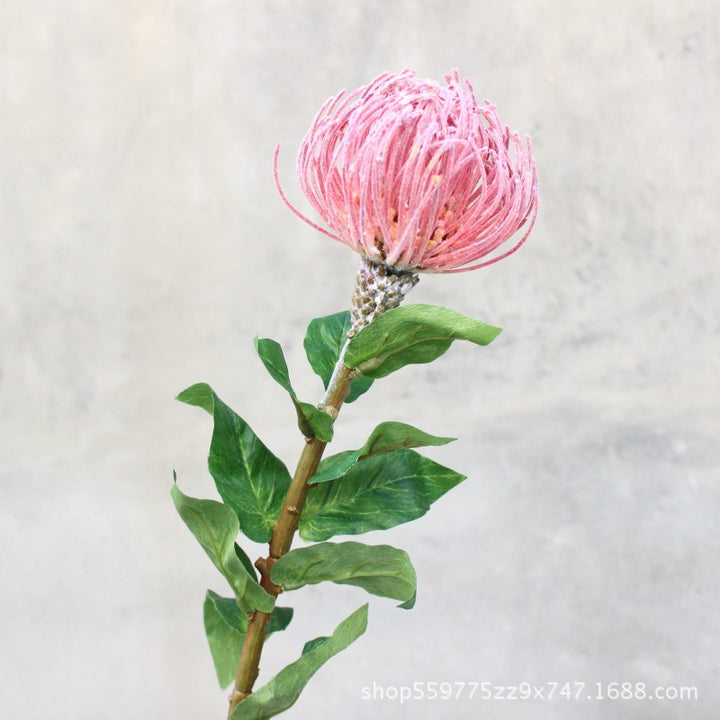 Realistische Protea-Blumenstiel